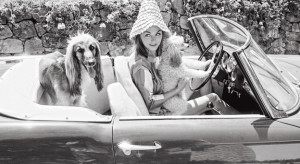 © Celebrity Pets - On the French Riviera in the 50s and 60s by Edward Quinn, to be published by teNeues in September 2014, www.teneues.com. A Miniature Poodle and an Afghan Hound in the Alfa Romeo of David Niven and a special hat for his Swedish wife Hjordis Tersmeden. Saint-Jean-Cap-Ferrat 1961, Photo © 2014 edwardquinn.com. All rights reserved.