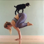 yoga_girl