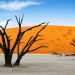 Trees and red dunes in Dead Vlei, Sossuslvei, Namibia - Credit: Tiago Fernandez/Getty